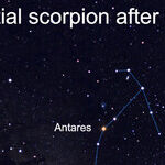 Exploring the Celestial Scorpion