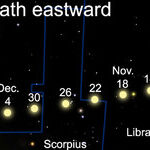 What's Your Sign?