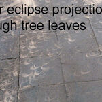 View or Photograph the Solar Eclipse