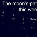 Follow the Moon