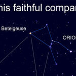Orion's Faithful Companions