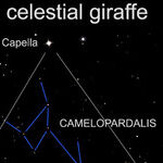 The Celestial Giraffe