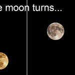 As the Moon Turns...