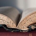 Dry Rot in Academia