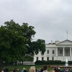 The Political Picture