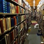 Election Year Books