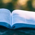 The 'Diversity' Fraud