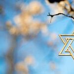 Reflections on Bondi Beach