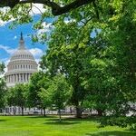 The Iran Hawks Are Losing Their Judgment