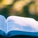 Why Doesn't College Work for Blacks?