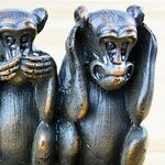 The GOP Is Monkeyed Up