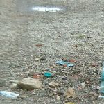 What The Times Misses About Poverty