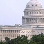 Cheney and Kinzinger May Be Too Late