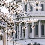 Did the Jan. 6 Coup Fail?
