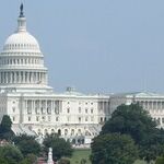 How Democrats Can Save Themselves