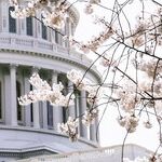 Are Democrats Up to Preventing the Next Coup Attempt?