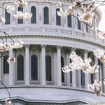 Liz Cheney's Star Turn
