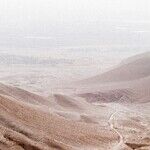 Hamas Makes War on Israelis and Palestinians