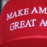 Donald Trump's American Oligarchy