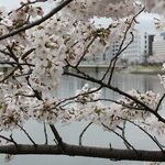 Obama and Trump at Hiroshima