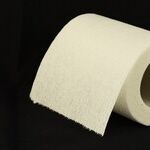 Public Toilets and Private Burdens