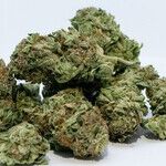 Legal Marijuana Is Becoming the Norm
