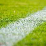 A Yale Football Player Quits to Save His Brain