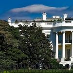 Why Would Anyone Join the Trump Administration Now?