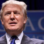 Under Trump, the Chaos Never Ends