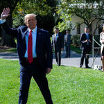 The Price of Trump's Reckless Coronavirus Conduct