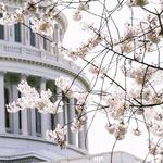 Uncovering the Truth About the Attack on the Capitol