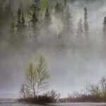 Action on Climate Change, in Spite of Republicans