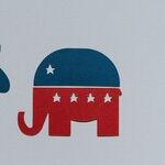 Is This the Moment for a Third Party?