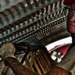 Free Trade's Effect on 'Earned Success'