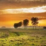 The New/Old Politics of Capital vs. Countryside