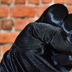 The Violent Political Left