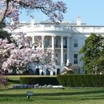 Let's Stop Acting as if the 2016 Campaign Were Still On