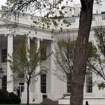 A Late-Starting Presidential Campaign May Not Be Hopeless