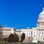 Democrats Reaping What They Sow