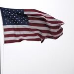 Voters Oppose 'Transformative' Policies, Want Reform of Dysfunctional Bureaucracies