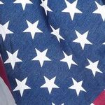 Will Dobbs Help Democrats? Will the Mar-a-Lago Raid Help Republicans?