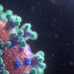 The Proximal Origin of a Scientific Fraud