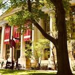 The Intellectual Elite's Institutional Rot