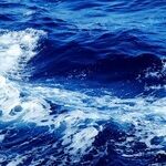 Floating A Diplomatic Solution In The South China Sea