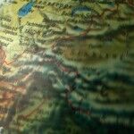 Sanctions Have Slashed Ayatollah Iran's War-Making Capacity