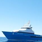 Gulf Of Mexico Pirates Threaten Global Security And Environmental Extortion