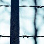 Poland's Eastern Shield: On NATO'S Eastern Flank: Part 2