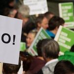Amongst the Demonstrators