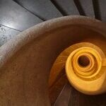 The American Left's Downward Spiral