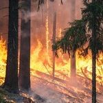 His Critics Have Not Blamed Him for the California Fires Yet